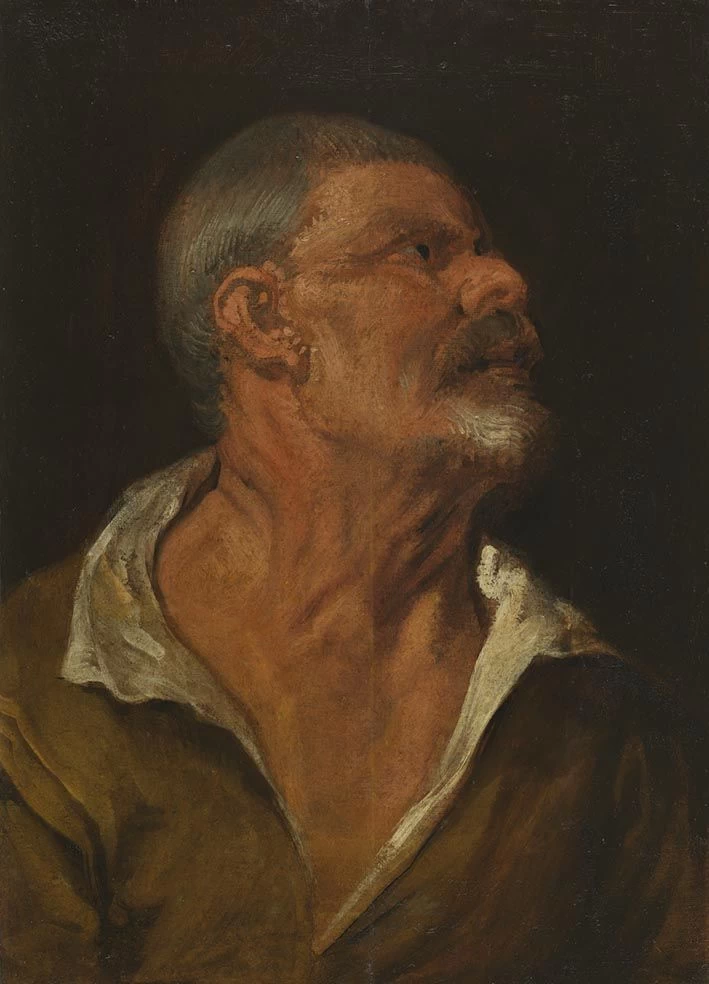 Studio di testa - Bavarian State Painting Collections
